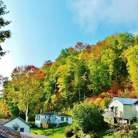 Silver Springs Cottage Resort Harcourt エクステリア 写真