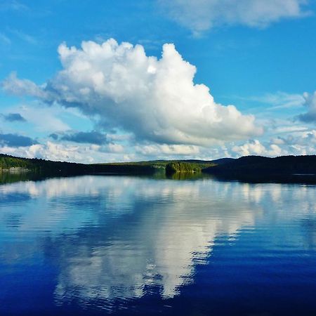 Silver Springs Cottage Resort Harcourt エクステリア 写真
