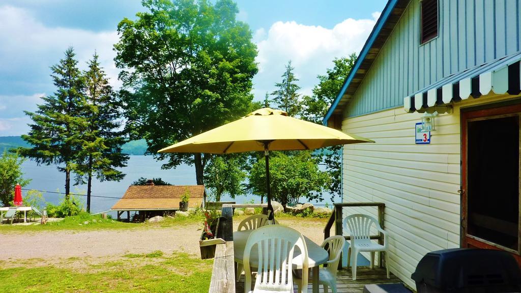 Silver Springs Cottage Resort Harcourt エクステリア 写真