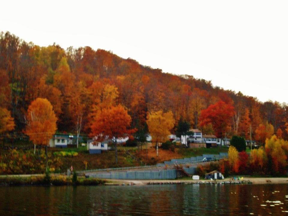 Silver Springs Cottage Resort Harcourt エクステリア 写真