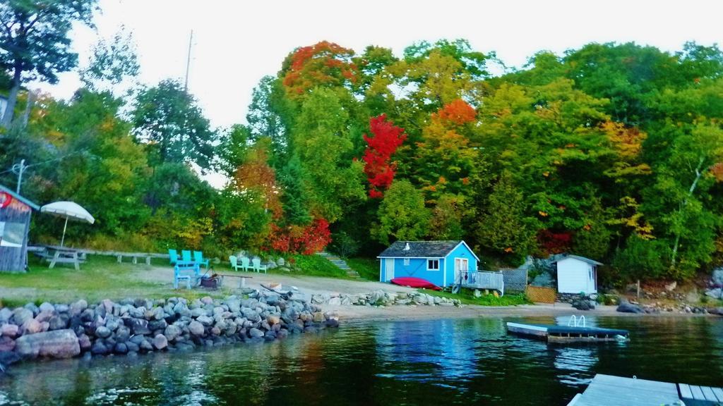 Silver Springs Cottage Resort Harcourt エクステリア 写真