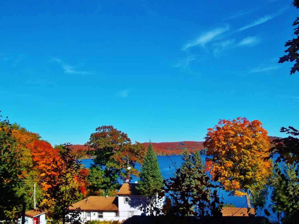 Silver Springs Cottage Resort Harcourt エクステリア 写真
